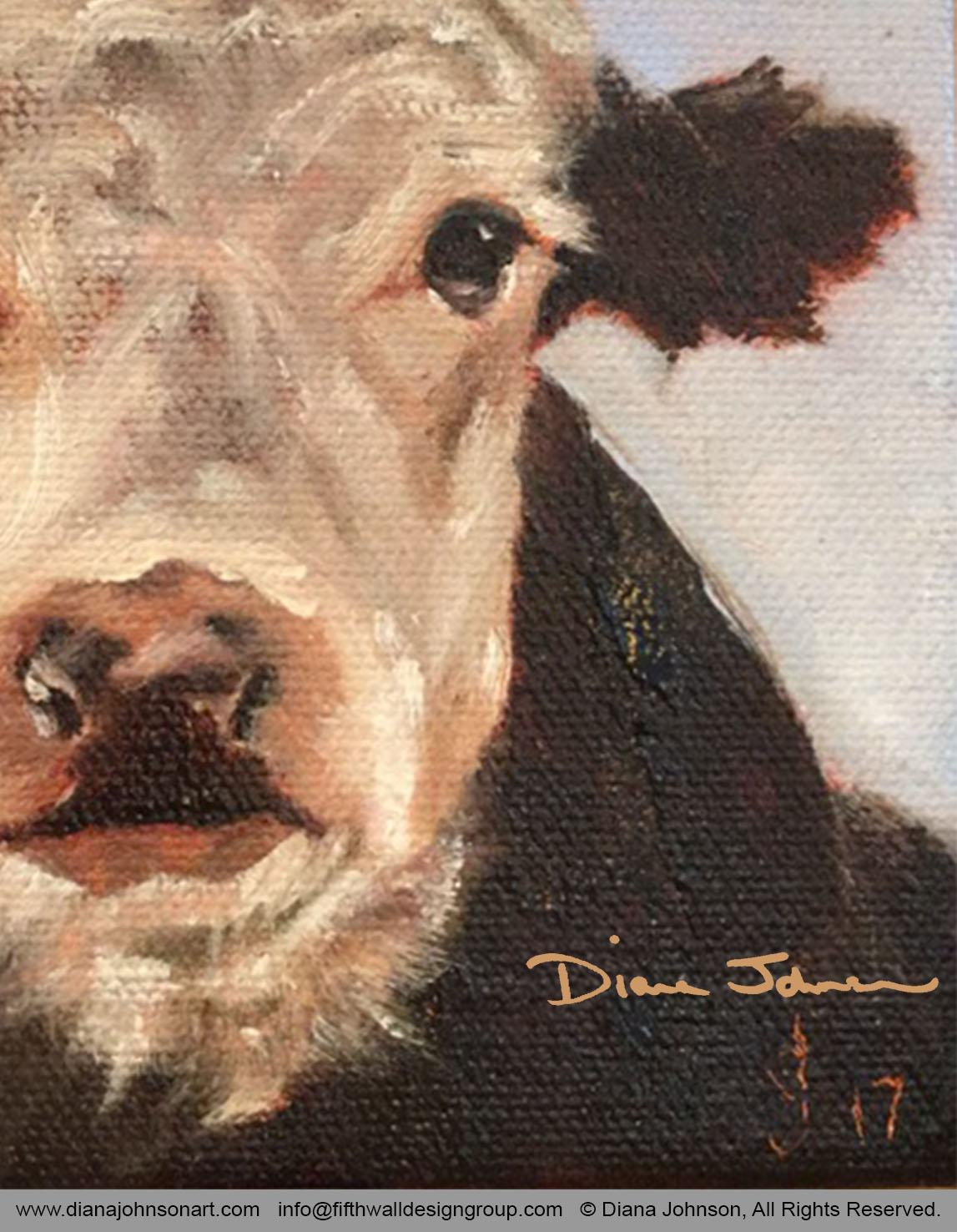 Calf, detail. Calf, detail.