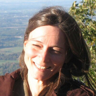 Diana Johnson Art in Charlottesville and Lexington Virginia