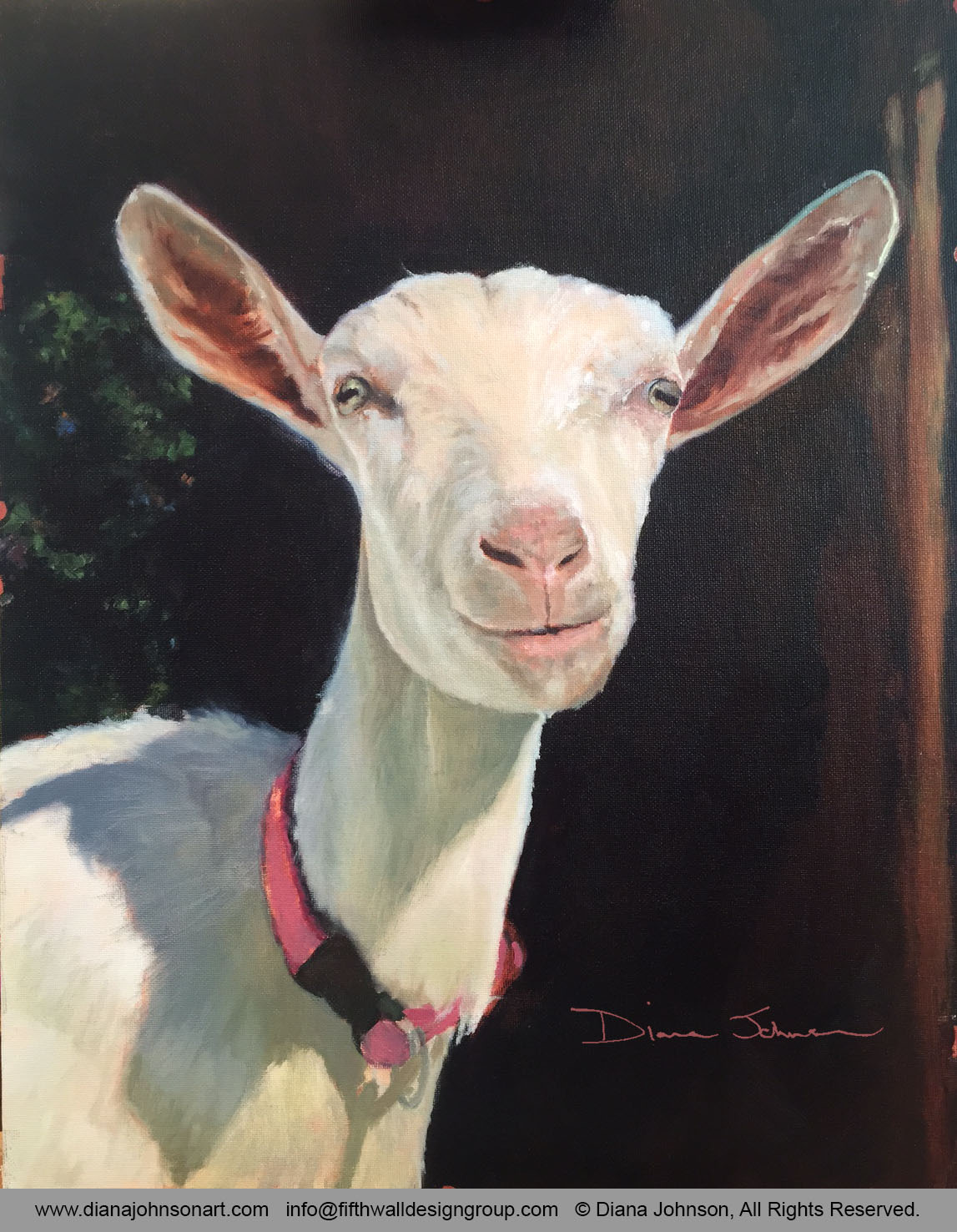 Happy Goat Painting by Diana Johnson in Virginia Happy Goat Painting by Diana Johnson