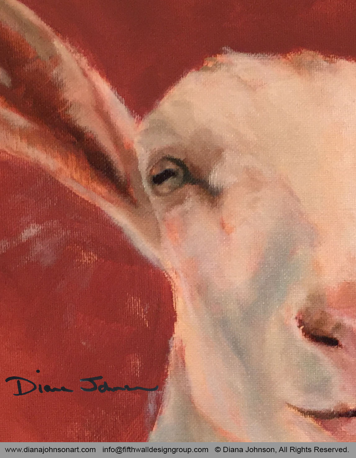 Happy Goat, underpainting, detail by Diana Johnson